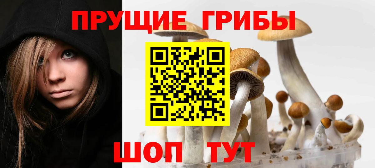 Галлюциногенные грибы прущие грибы Людиново